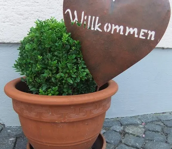 Allgaeu *